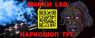 индика Обь