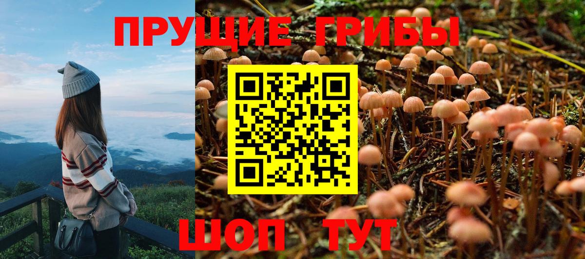 Галлюциногенные грибы мицелий  Галлюциногенные грибы мицелий  Дмитров  Вход с VPN 