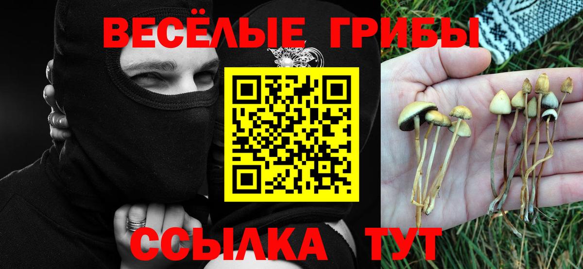 Галлюциногенные грибы ЛСД Дмитров