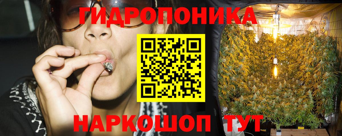 Канабис гибрид Дмитров